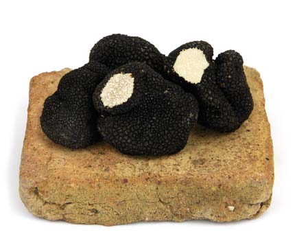 truffes-fraiches-aestivum-250-a.jpg